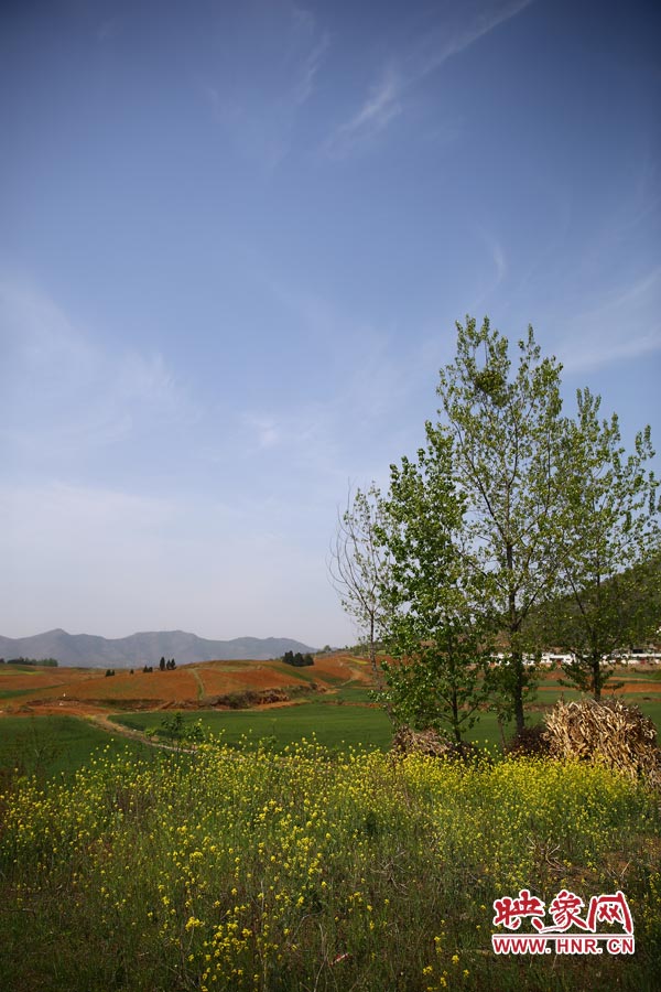 庫區(qū)的藍(lán)天、白云、綠樹、黃花給人清新的享受