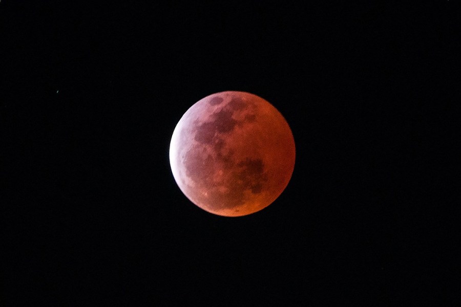 4月4日，福州上空出現(xiàn)紅月亮。楊婀娜/CFP