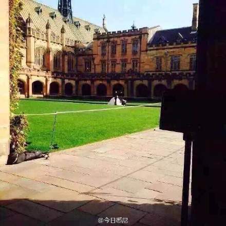 劉強(qiáng)東奶茶妹被曝悉尼拍婚紗照 劉強(qiáng)東奶茶妹被曝悉尼拍婚紗照