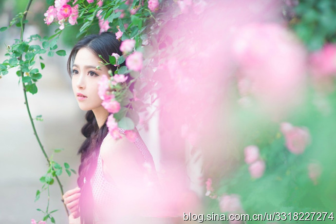 民航大學(xué)最美?；ㄋ秸掌毓? width=