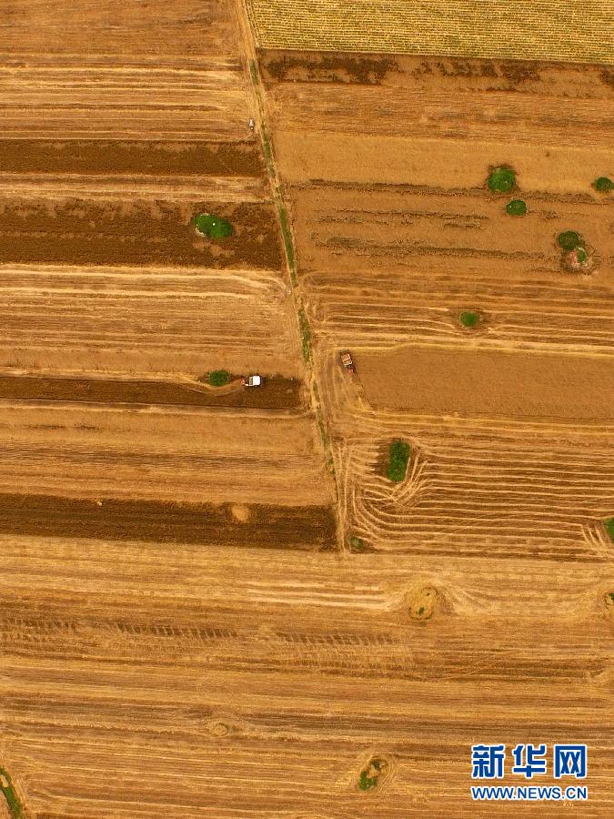 這是5月28日在河南省南陽(yáng)市唐河縣甘河灣村航拍的麥?zhǔn)宅F(xiàn)場(chǎng)。