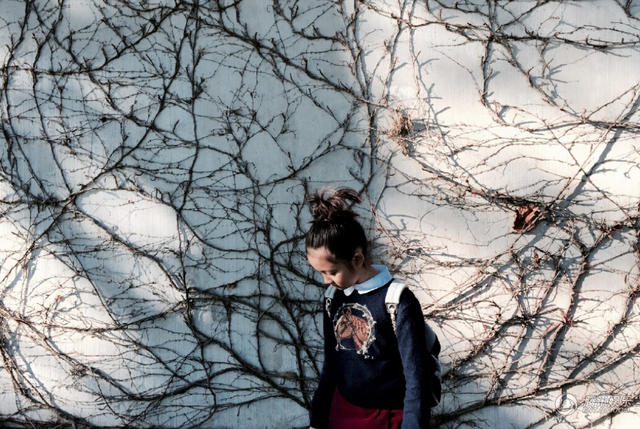 多多美照 多多美照