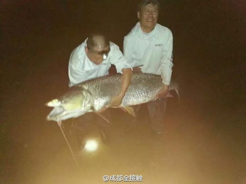 圖為大魚需要兩個人抱起。