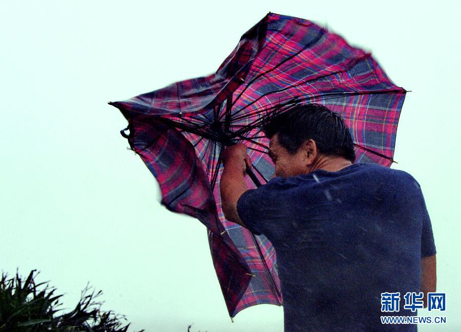 8月8日，福建省石獅市漁民在風(fēng)雨中前行。