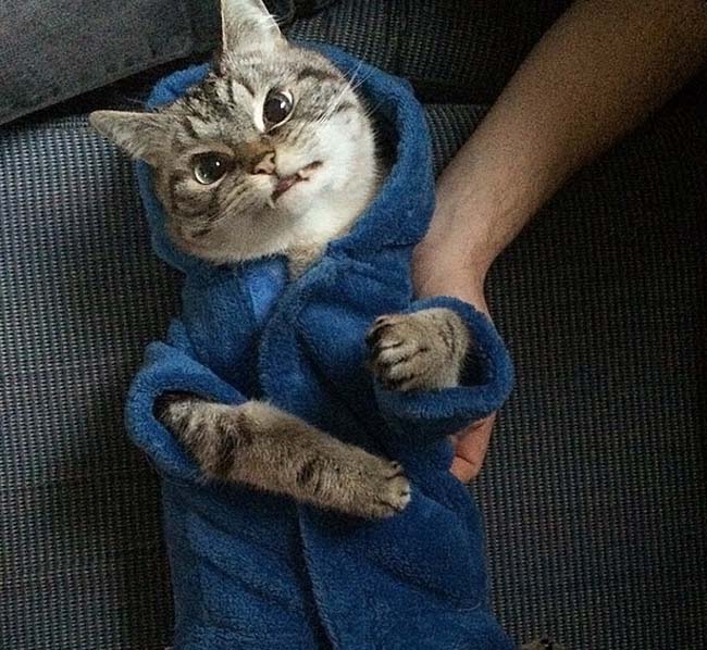 身穿浴袍的Loki好像看起來也沒那么兇哦。