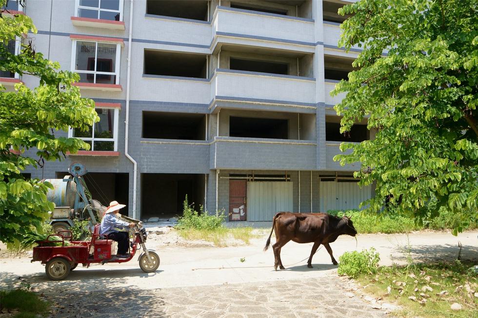 2016年7月26日，村民在廣西來賓市忻城縣隆達(dá)山水福城荒廢別墅間放牛。