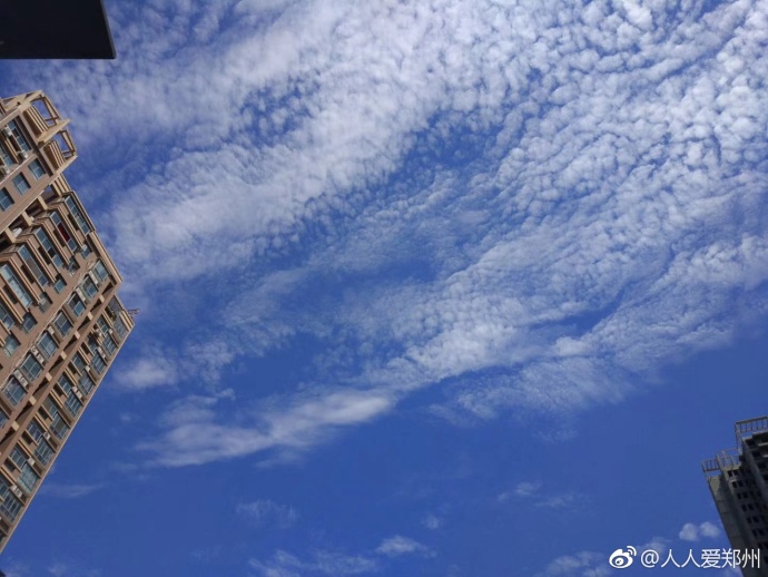 又被鄭州的藍(lán)天刷屏！隨便一拍就是手機(jī)壁紙