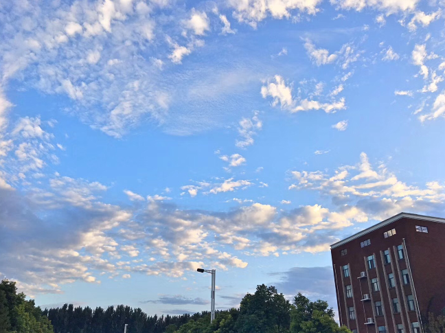 又被鄭州的藍(lán)天刷屏！隨便一拍就是手機(jī)壁紙