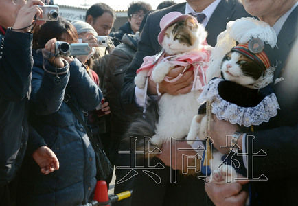 圖為粉絲們簇?fù)碇鞍⒂瘛闭鹃L（右）。左側(cè)為其部下“二玉”。