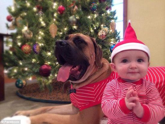 圖為美國(guó)2歲大的寵物犬與主人9個(gè)月大的女嬰。圖片來(lái)源：臉譜網(wǎng)站（Facebook）。