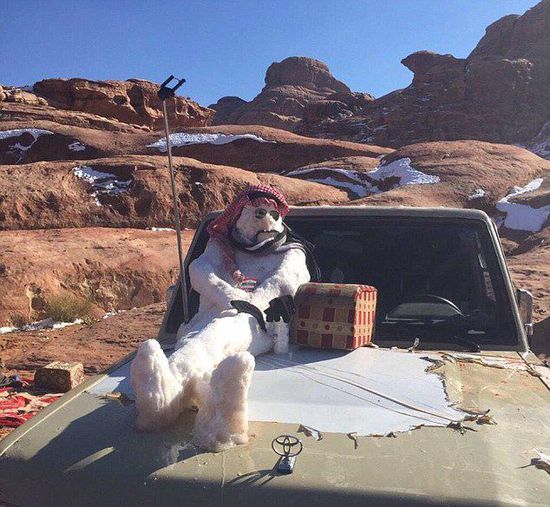 　一位宗教學者稱堆雪人褻瀆伊斯蘭教，引發(fā)眾多網友不滿。（網頁截圖）