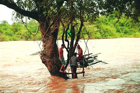 蓋屋、種菜，“從沒這樣快樂”