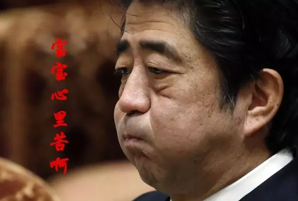 這種看安倍“熱鬧”的事兒，環(huán)環(huán)絕不私藏，一定雨露均沾!