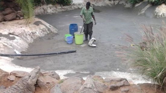 穆克的養(yǎng)殖場，鱷視眈眈下的工作人員。