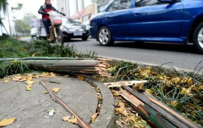 事發(fā)現(xiàn)場，嫌疑車輛撞壞的木樁。