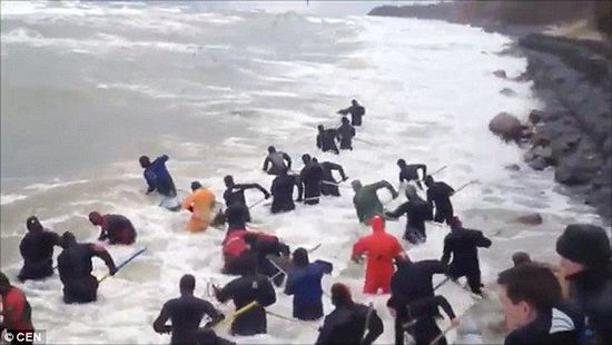 一場(chǎng)暴雨后，俄羅斯加里寧格勒Pionersky鎮(zhèn)，數(shù)十人潛入海水中搜尋琥珀。