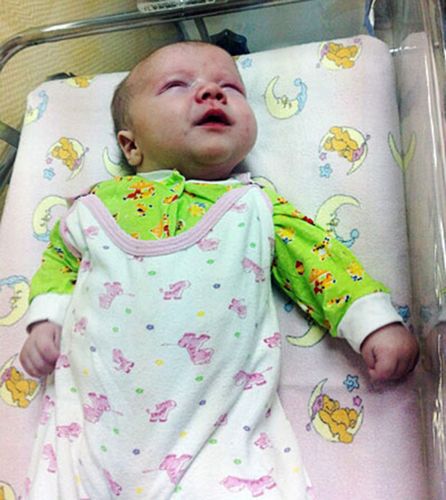 居民認(rèn)為，如果沒有這只貓的照料，寶寶可能沒有機會活下來。