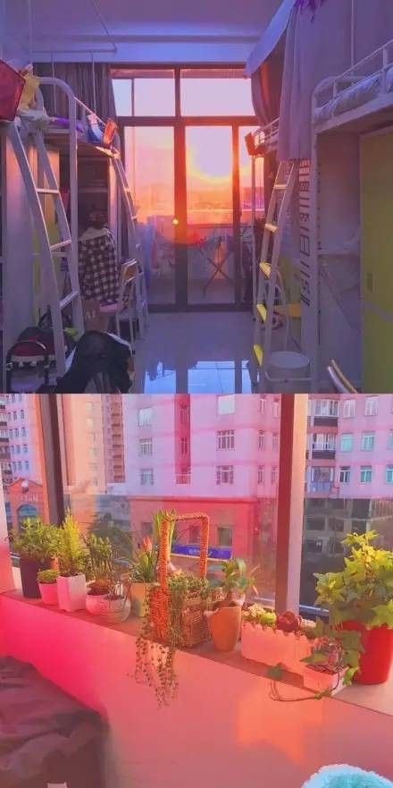 這個(gè)學(xué)校的男生宿舍火了！女同學(xué)都喊著要嫁