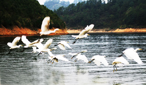 考完去哪兒？千島湖中、高考生門票大優(yōu)惠！