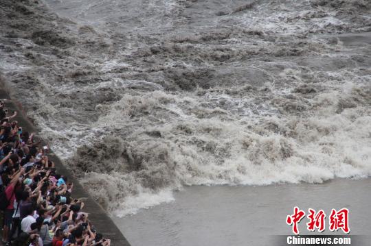 近4年最大八月十八錢江潮如約而至13.8萬游客爭(zhēng)睹
