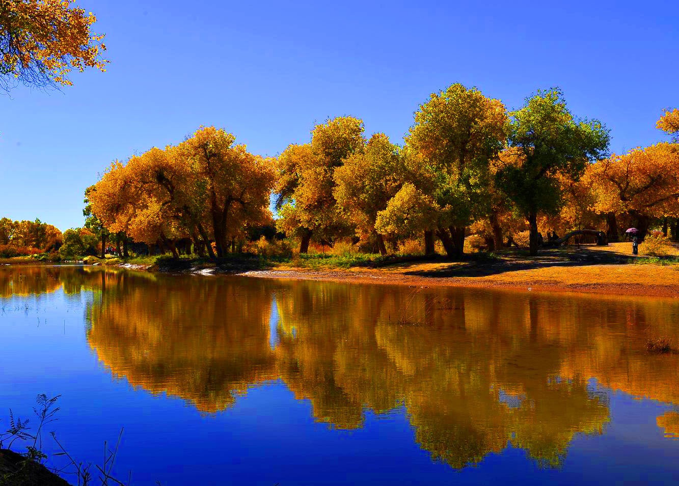 誰能禁住五彩世界美妙"色誘" 秋色盡顯"混搭"范兒 誰能禁住五彩世界美妙"色誘" 秋色盡顯"混搭"范兒