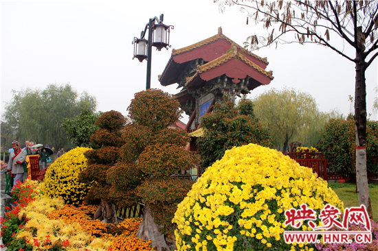 天好、花美 中國(guó)開封第32屆菊花文化節(jié)延長(zhǎng)一周