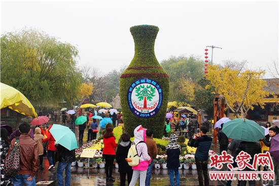 天好、花美 中國(guó)開封第32屆菊花文化節(jié)延長(zhǎng)一周