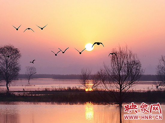 濟(jì)源小浪底景區(qū)積極籌備第五屆“觀鳥季”