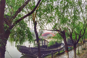 雨后清園 雨后清園