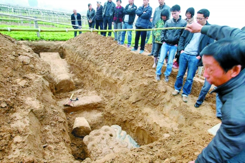 碑帽、赑屃、碑座、碑身依次排開