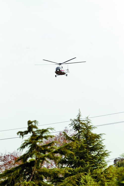 輕拋一點(diǎn)入云去，利眼“鐵鷹”掠地來(lái)