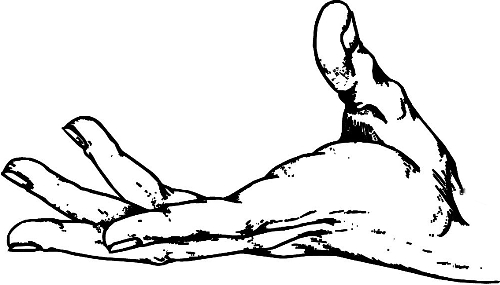 　時間：拿到通知書，未報到就可申請