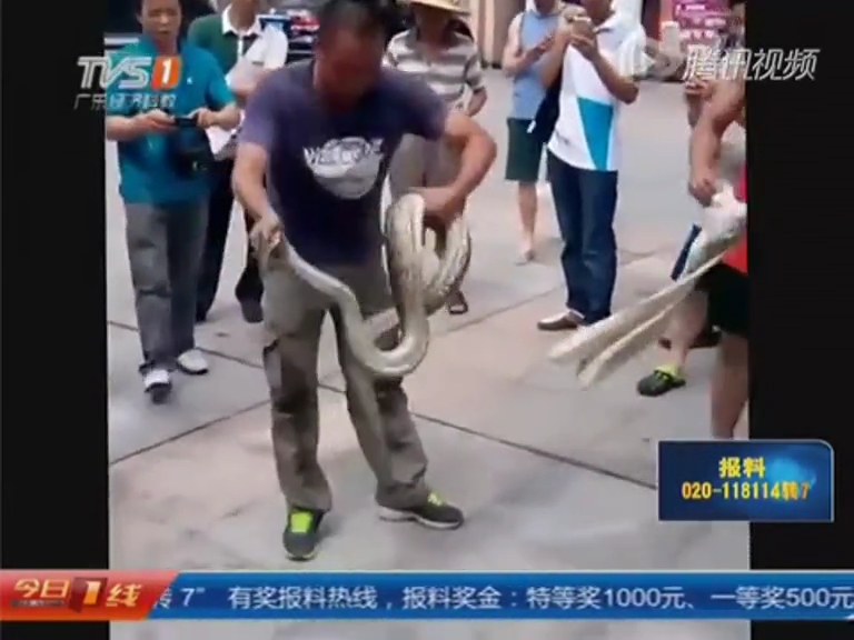 司機(jī)在汽車(chē)引擎蓋內(nèi)發(fā)現(xiàn)大蟒蛇 消防花1小時(shí)擒獲