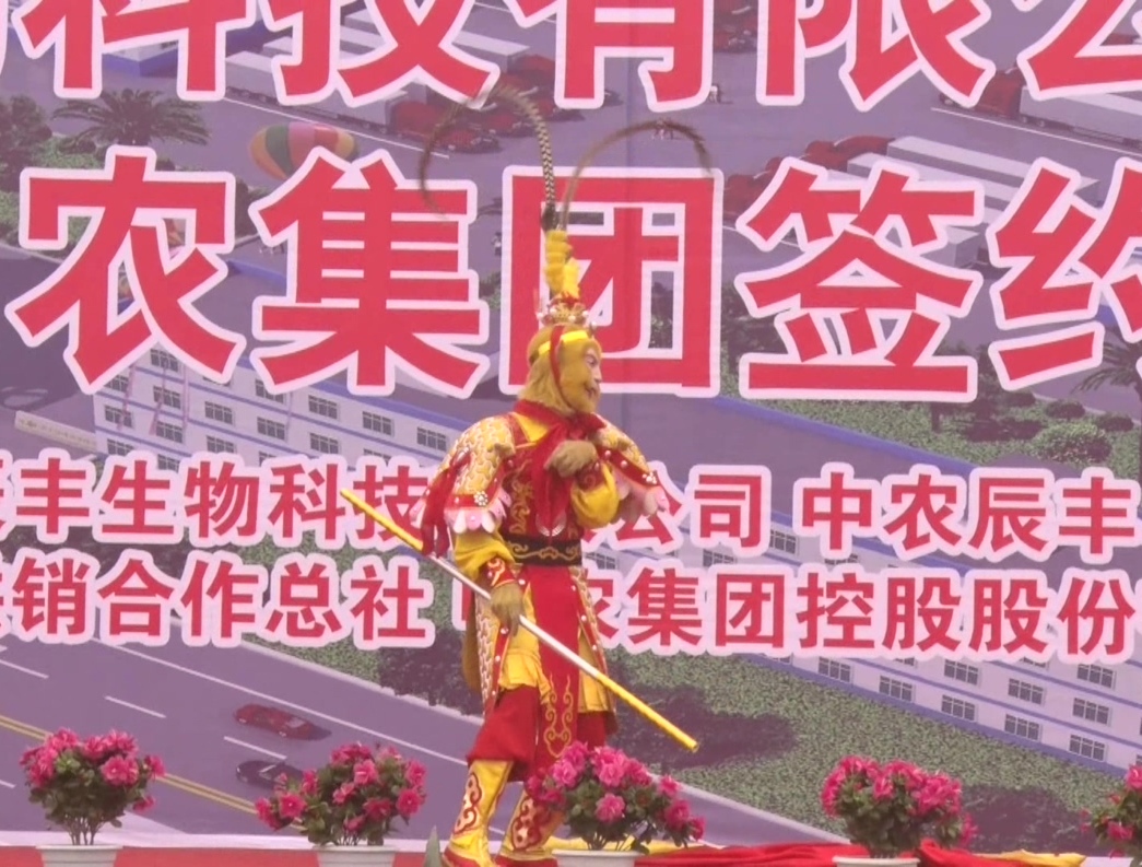 河南辰豐開(kāi)業(yè)慶典