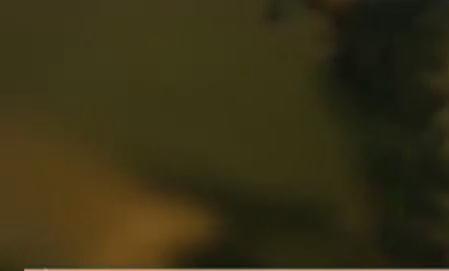 被女友騙入傳銷(xiāo)為求救當(dāng)街裸奔