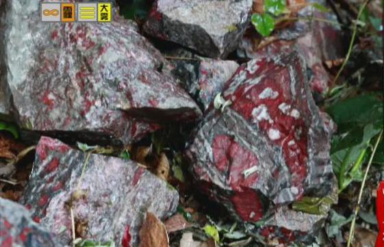 驚！神農架無人區(qū)現神秘玉石