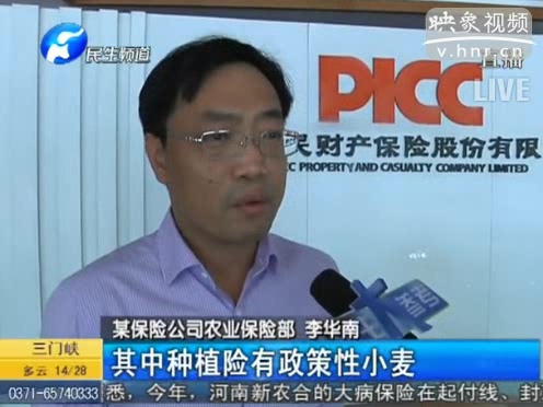 冰雹惹禍 損失能索賠嗎？