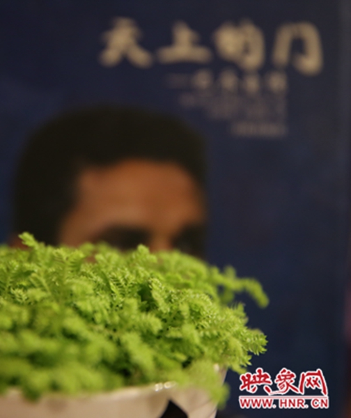 書架上精心布置的綠色植物。